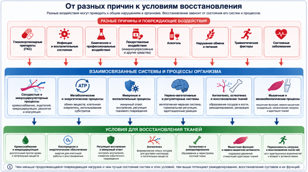 от причин асептического некроза к восстановлению
